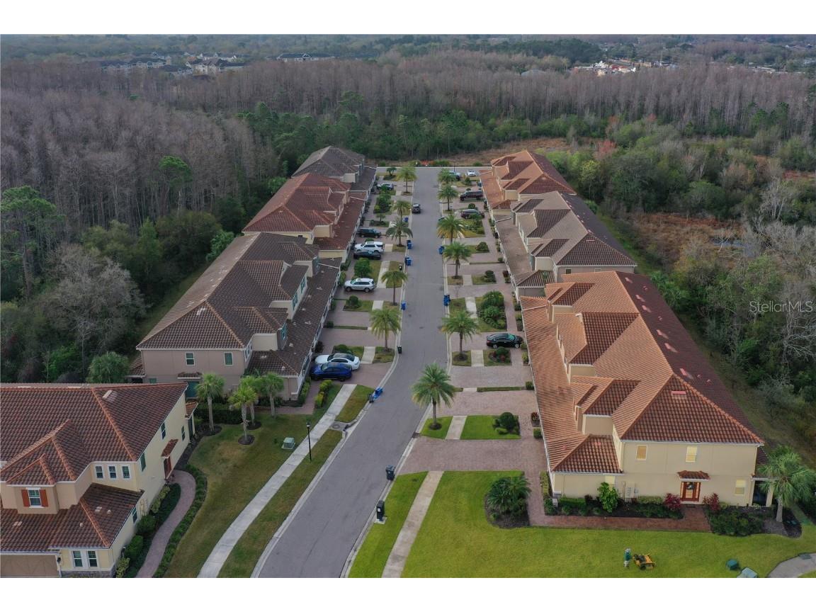 12326 Terracina Chase Court Tampa FL 33625 TB8349689 image36
