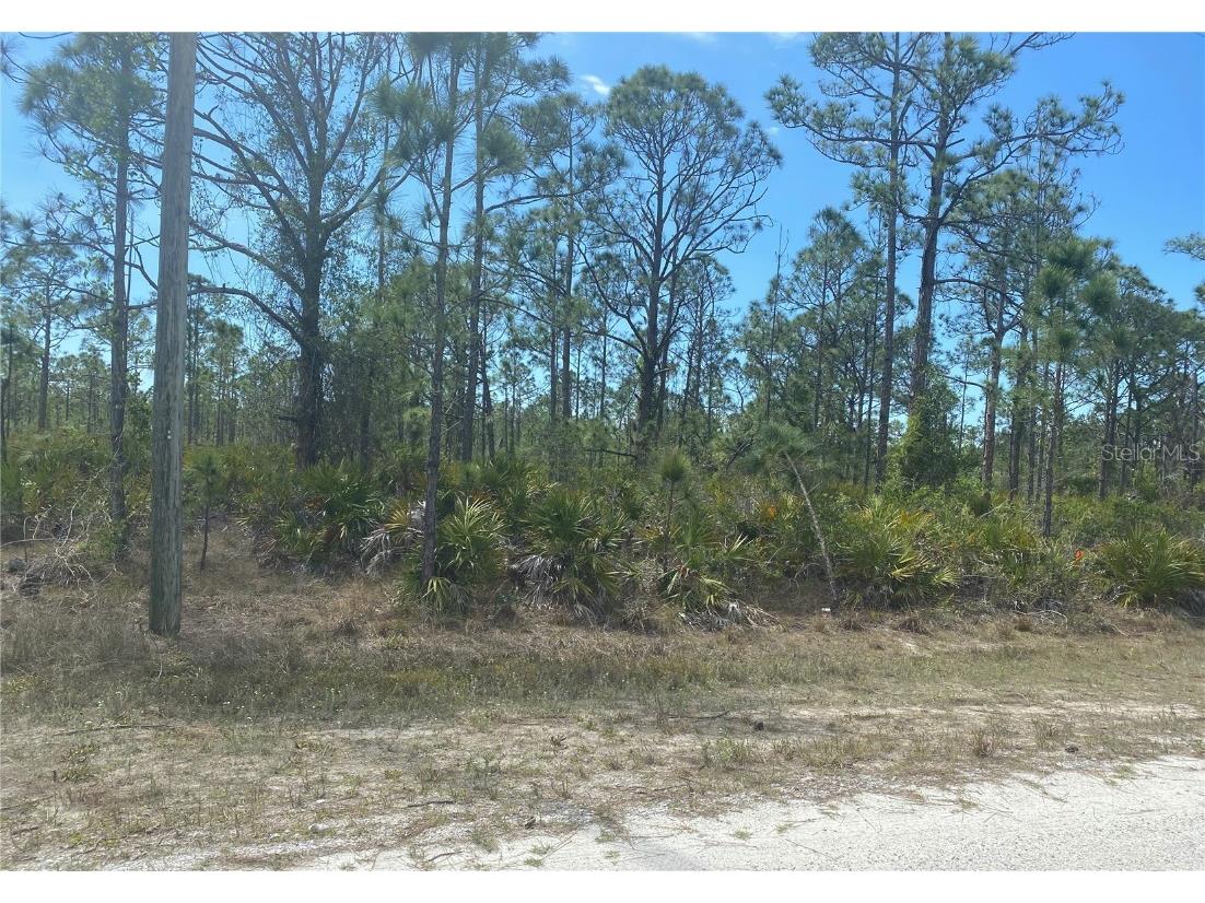 12327 Del Rio Drive Punta Gorda FL 33955 C7474210 image1