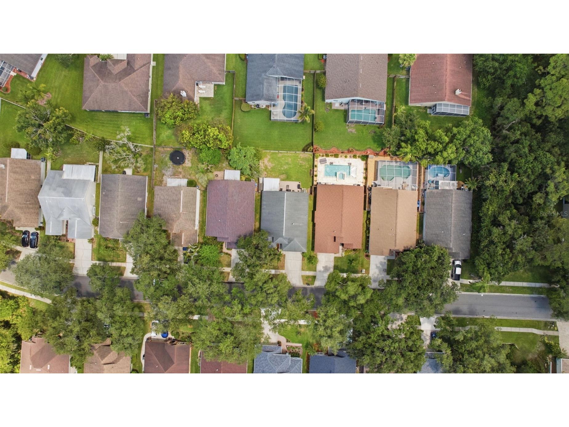 12327 Glenfield Avenue Tampa FL 33626 TB8511545 image38