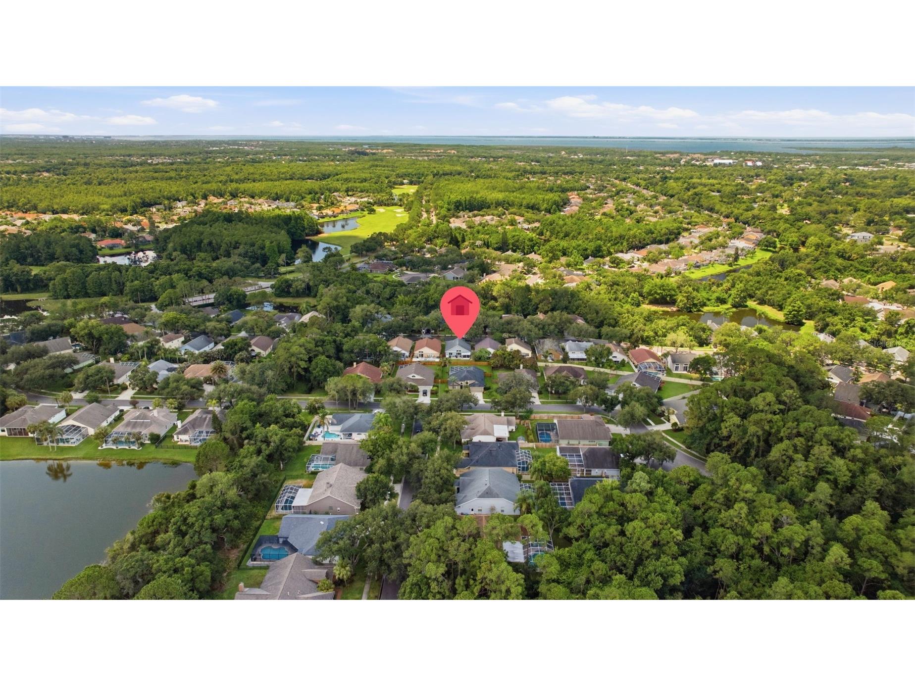12327 Glenfield Avenue Tampa FL 33626 TB8511545 image39