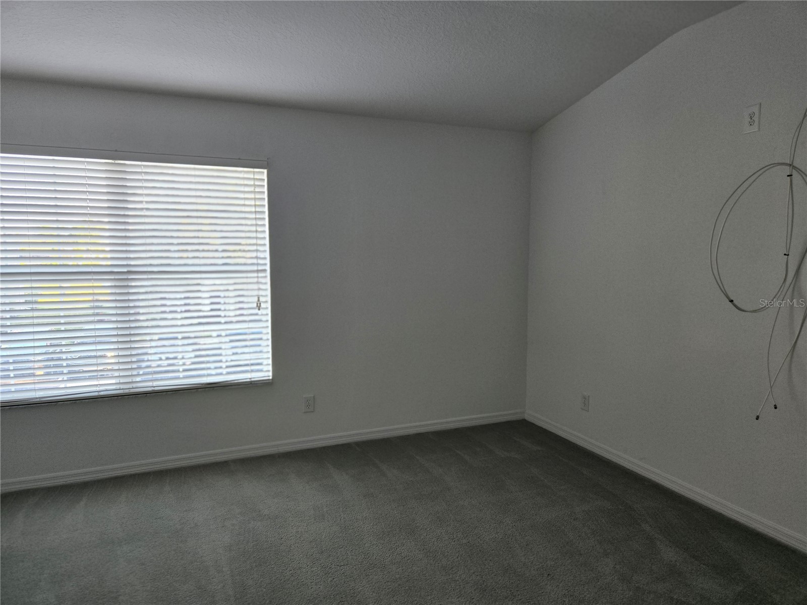 12327 Healey Summit Lane Riverview FL 33579 TB8472923 image11