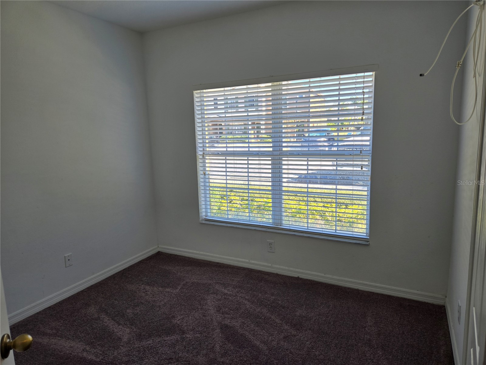 12327 Healey Summit Lane Riverview FL 33579 TB8472923 image13