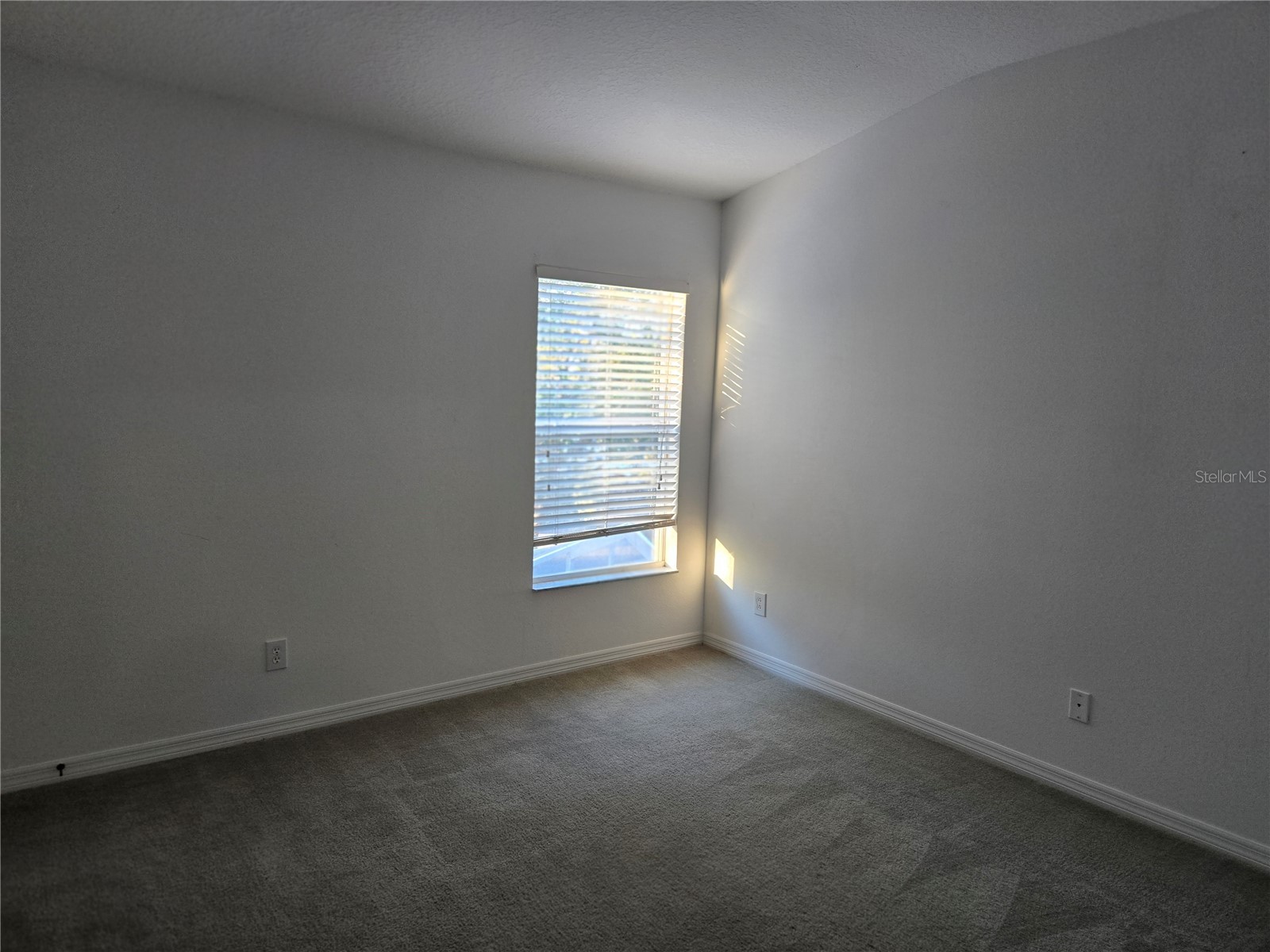 12327 Healey Summit Lane Riverview FL 33579 TB8472923 image9