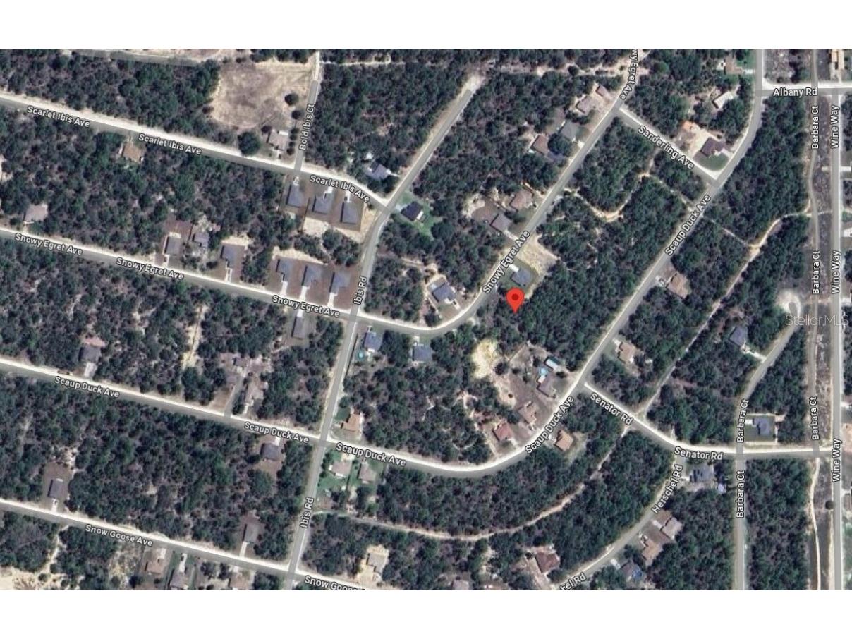 12328 Snowy Egret Avenue Weeki Wachee FL 34614 U8235818 image1