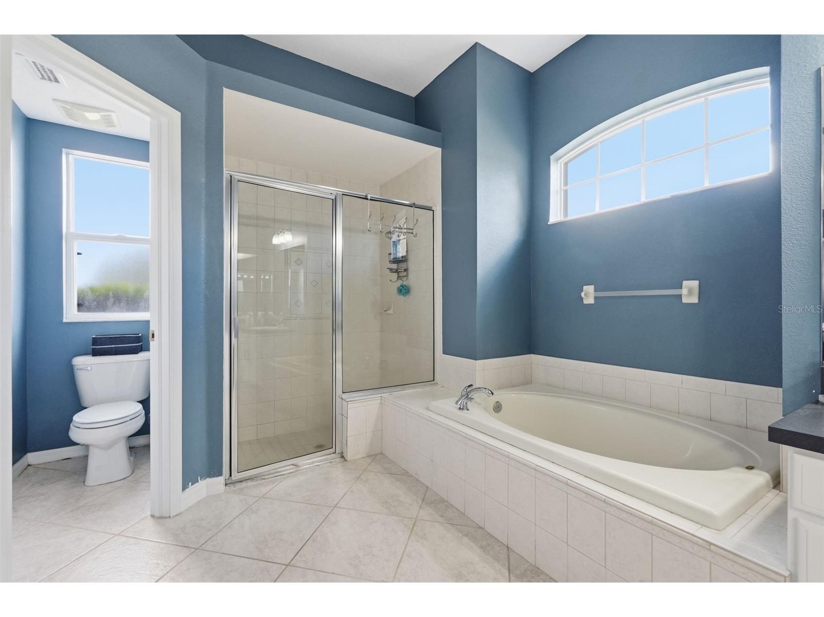 12329 Creek Edge Drive Riverview FL 33579 TB8485263 image29