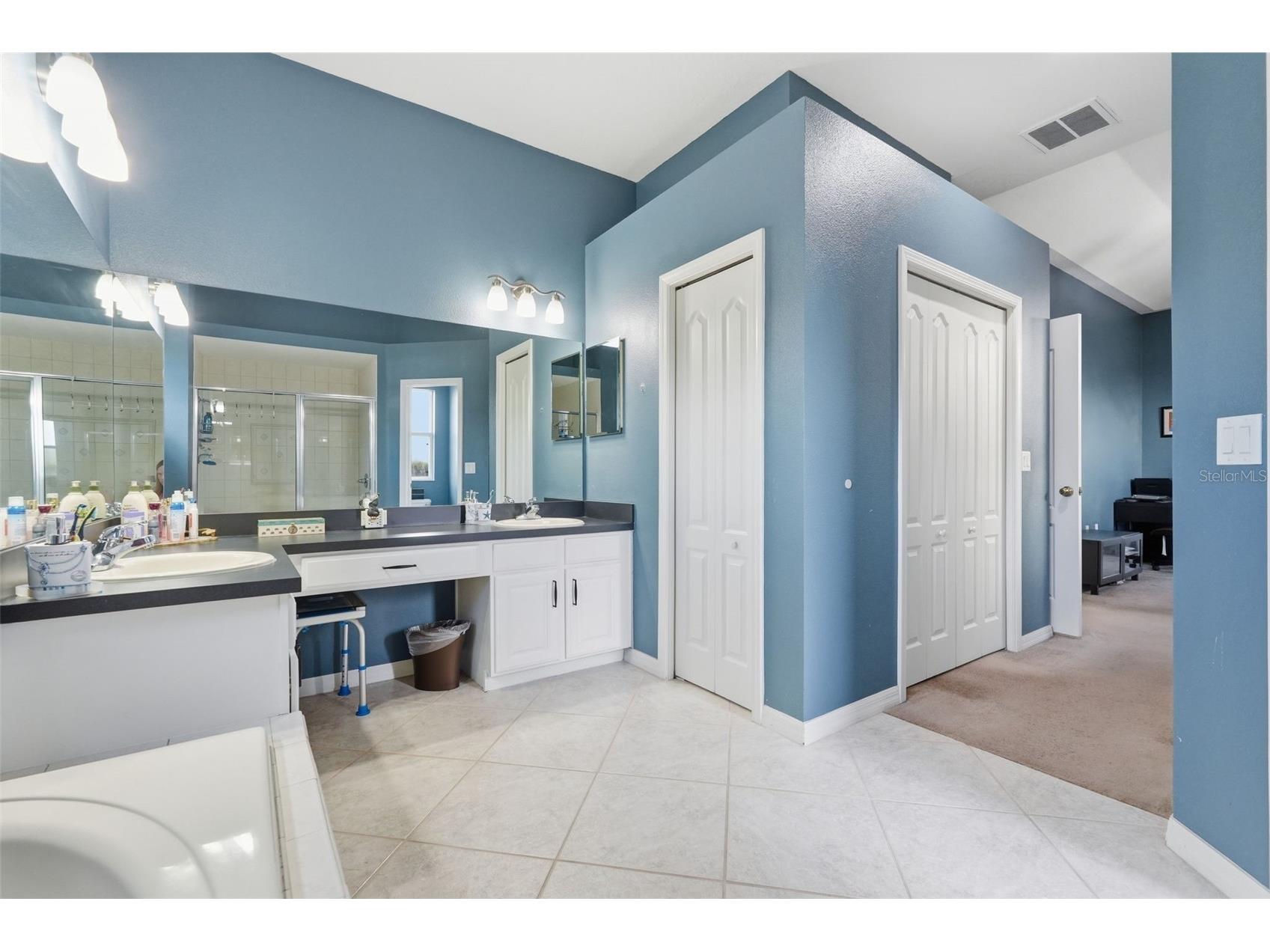 12329 Creek Edge Drive Riverview FL 33579 TB8485263 image30