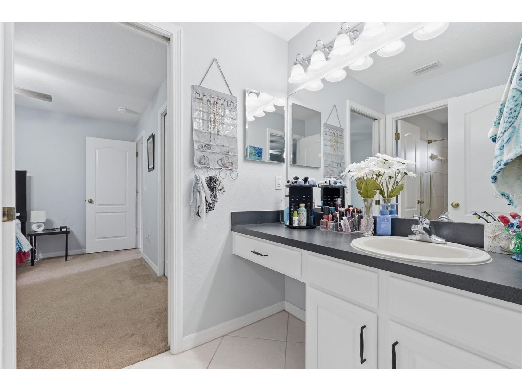 12329 Creek Edge Drive Riverview FL 33579 TB8485263 image34