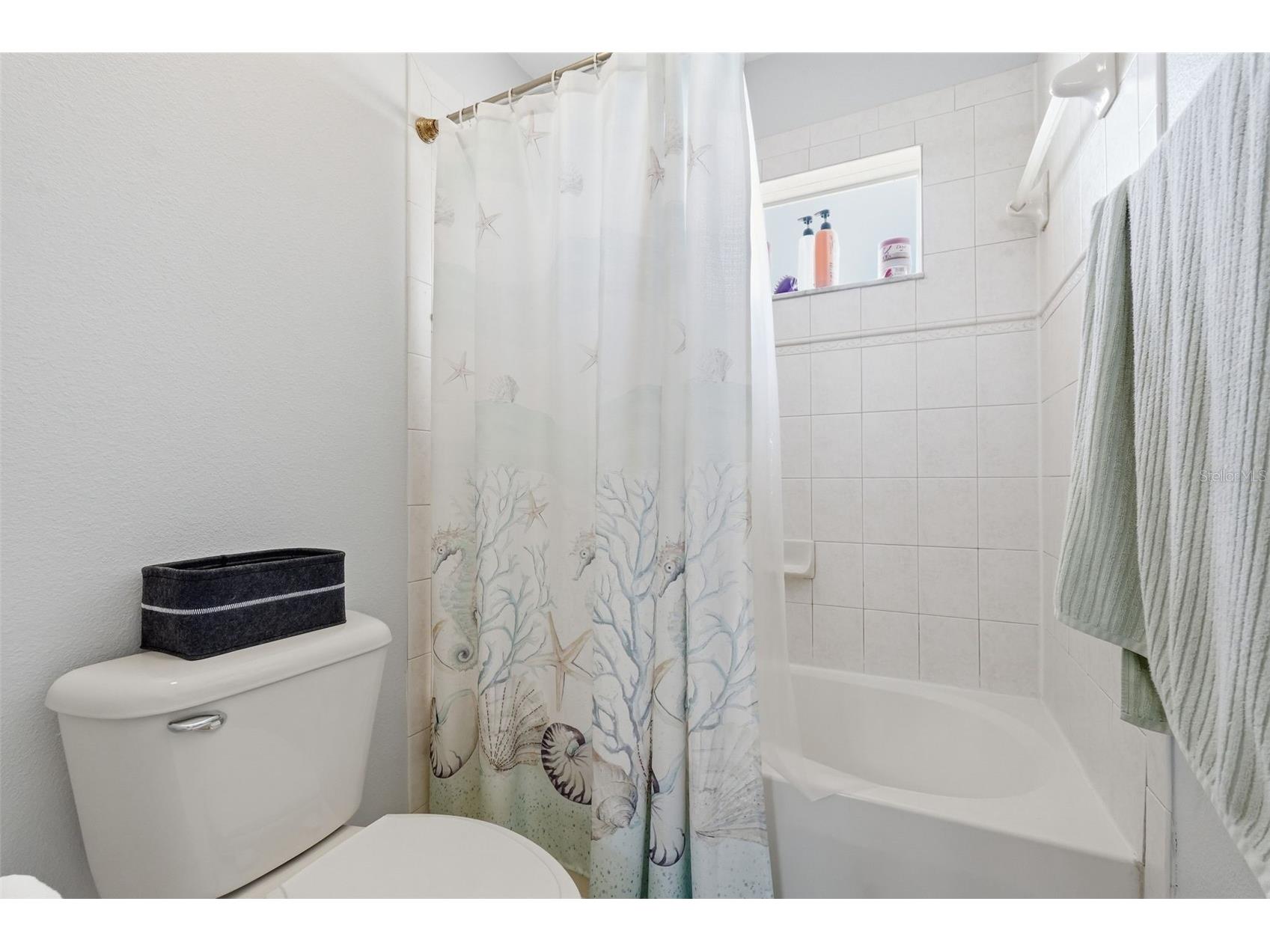 12329 Creek Edge Drive Riverview FL 33579 TB8485263 image43