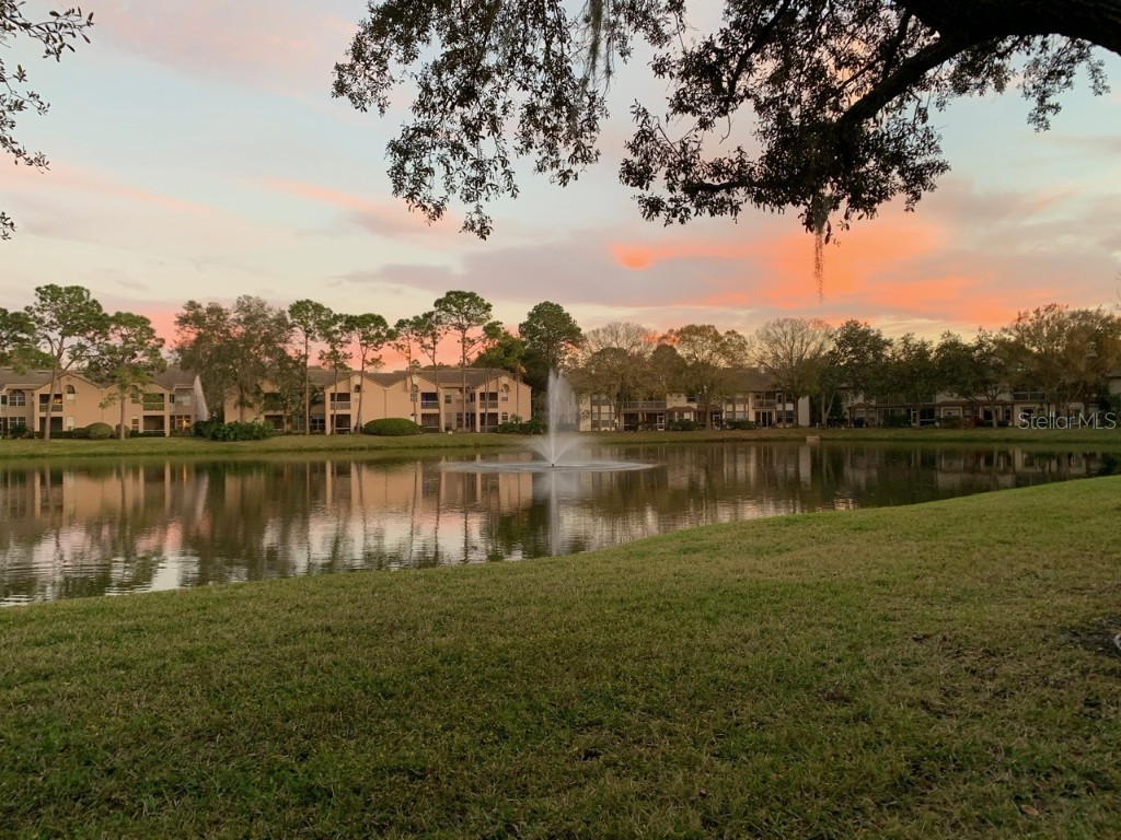 1233 Clays Trail Oldsmar FL 34677 T3433188 image1