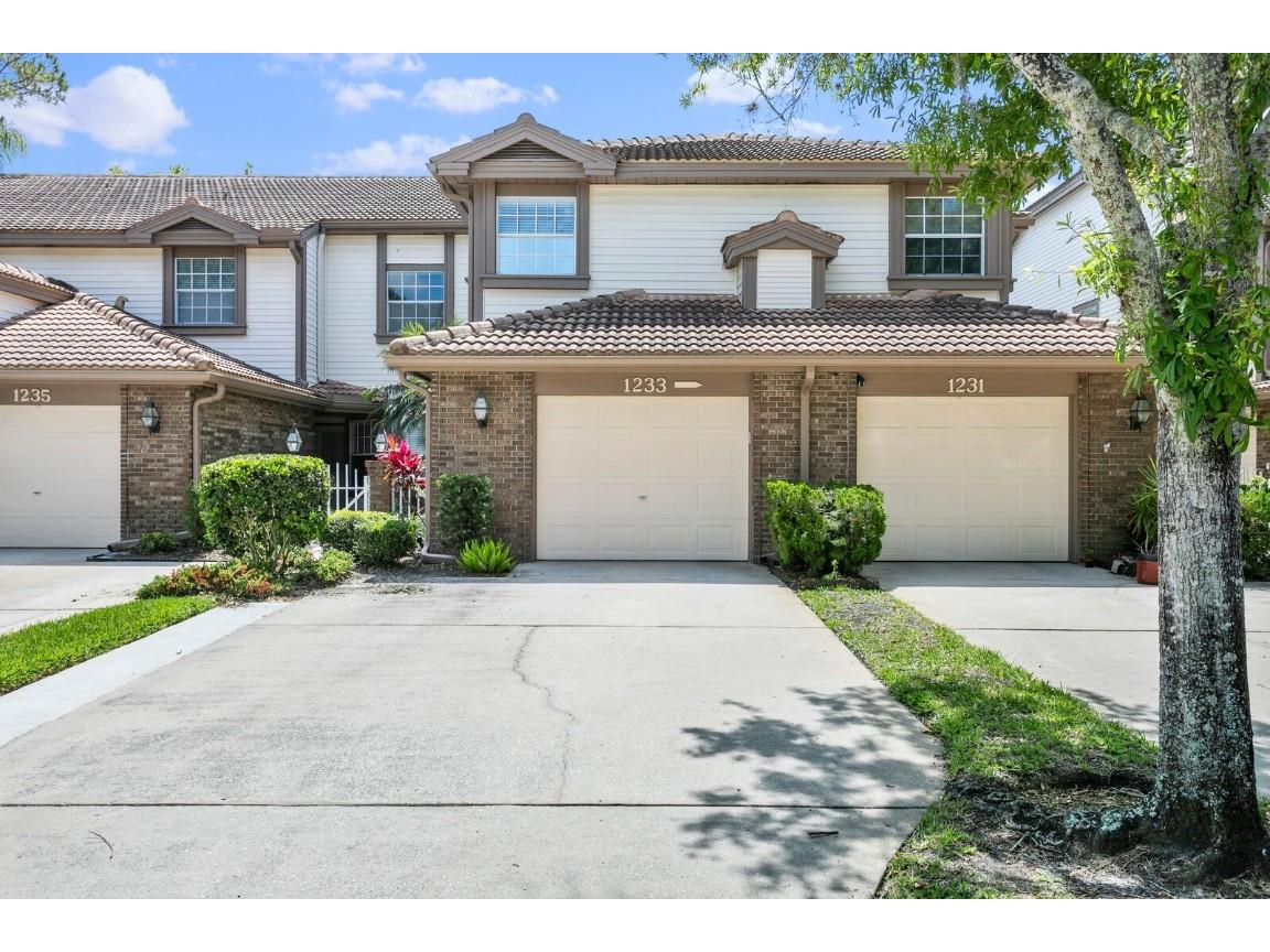 1233 Clays Trail Oldsmar FL 34677 T3447240 image1
