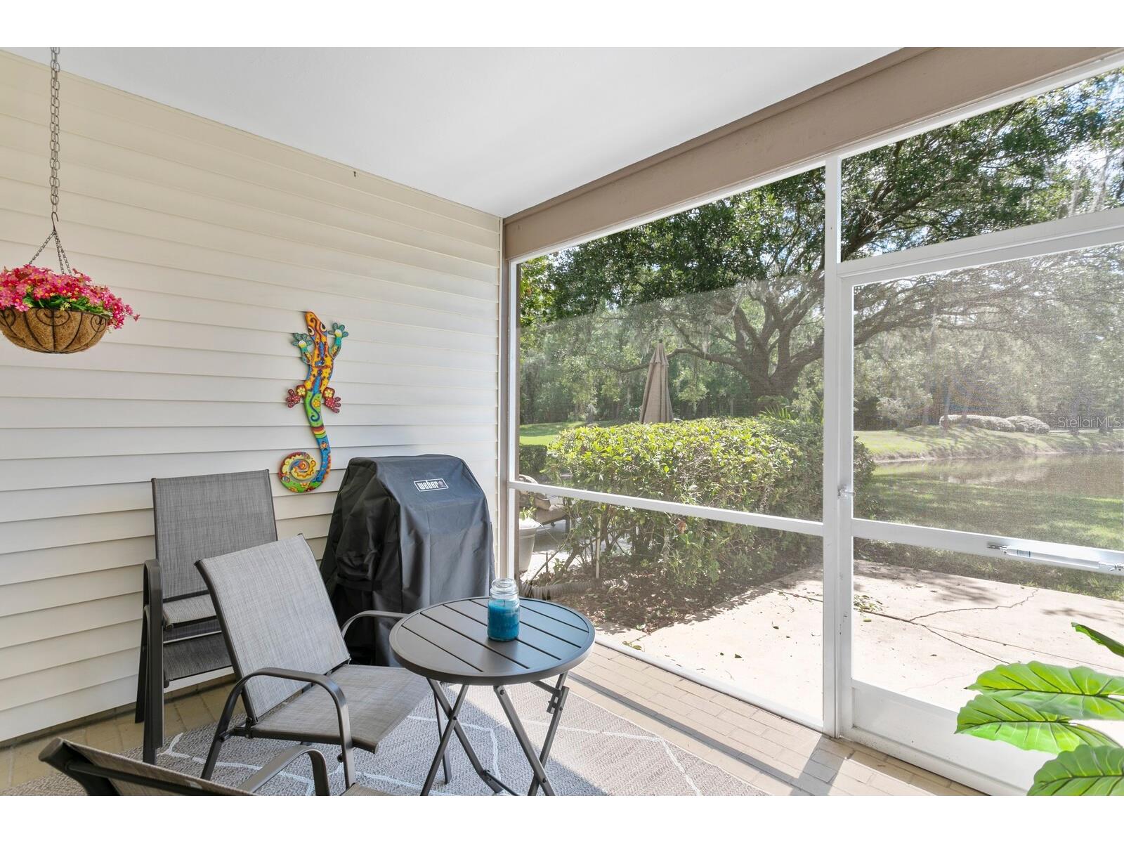 1233 Clays Trail Oldsmar FL 34677 TB8484116 image12