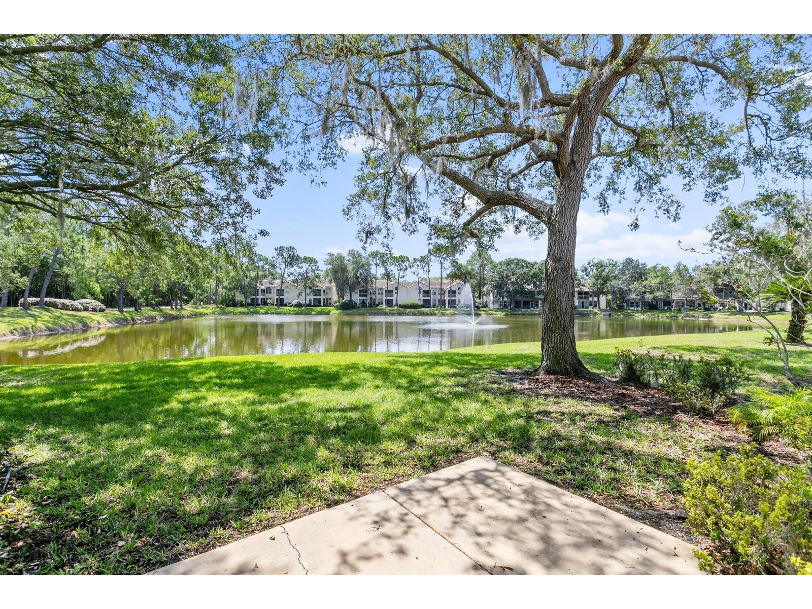 1233 Clays Trail Oldsmar FL 34677 TB8484116 image13
