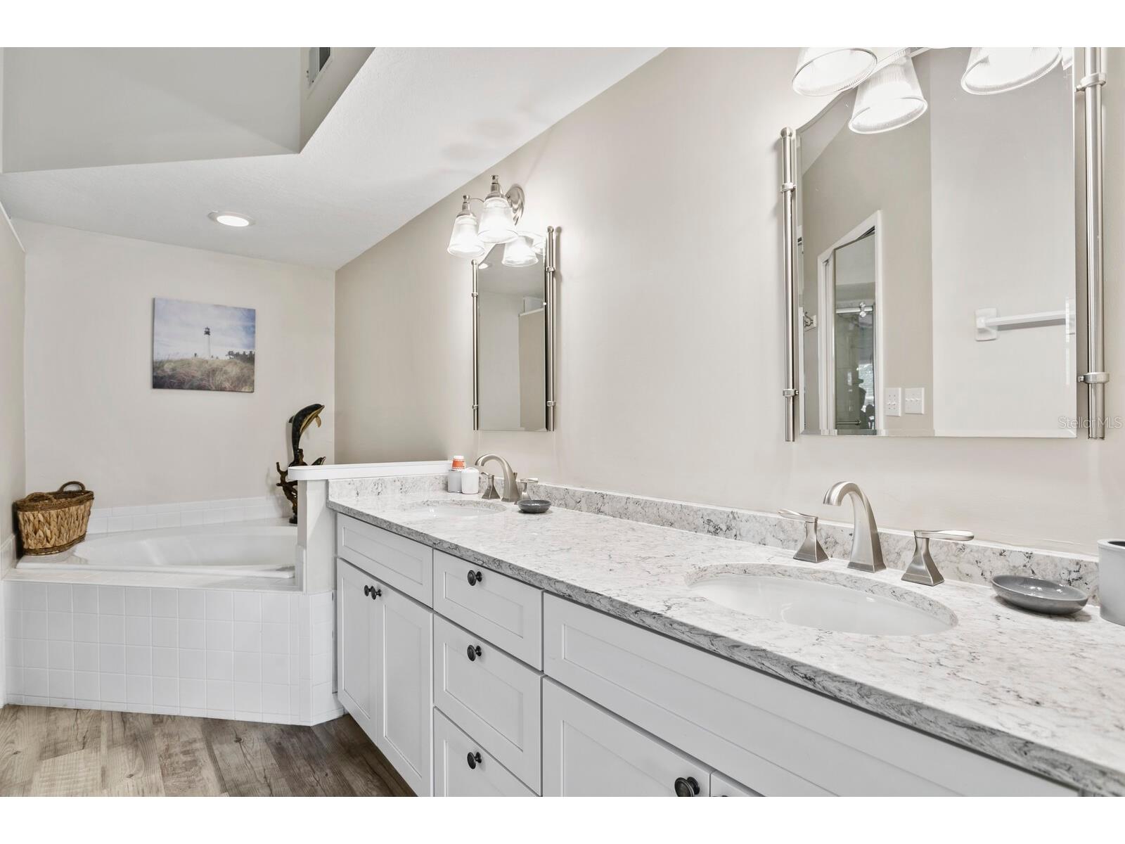 1233 Clays Trail Oldsmar FL 34677 TB8484116 image14