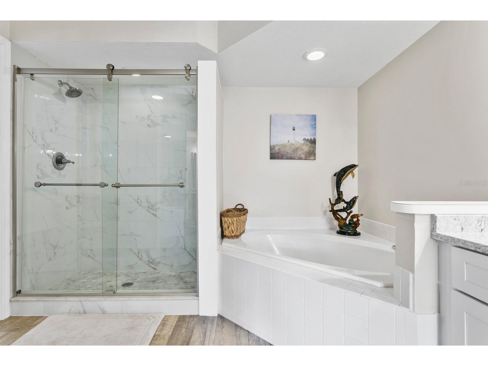 1233 Clays Trail Oldsmar FL 34677 TB8484116 image15