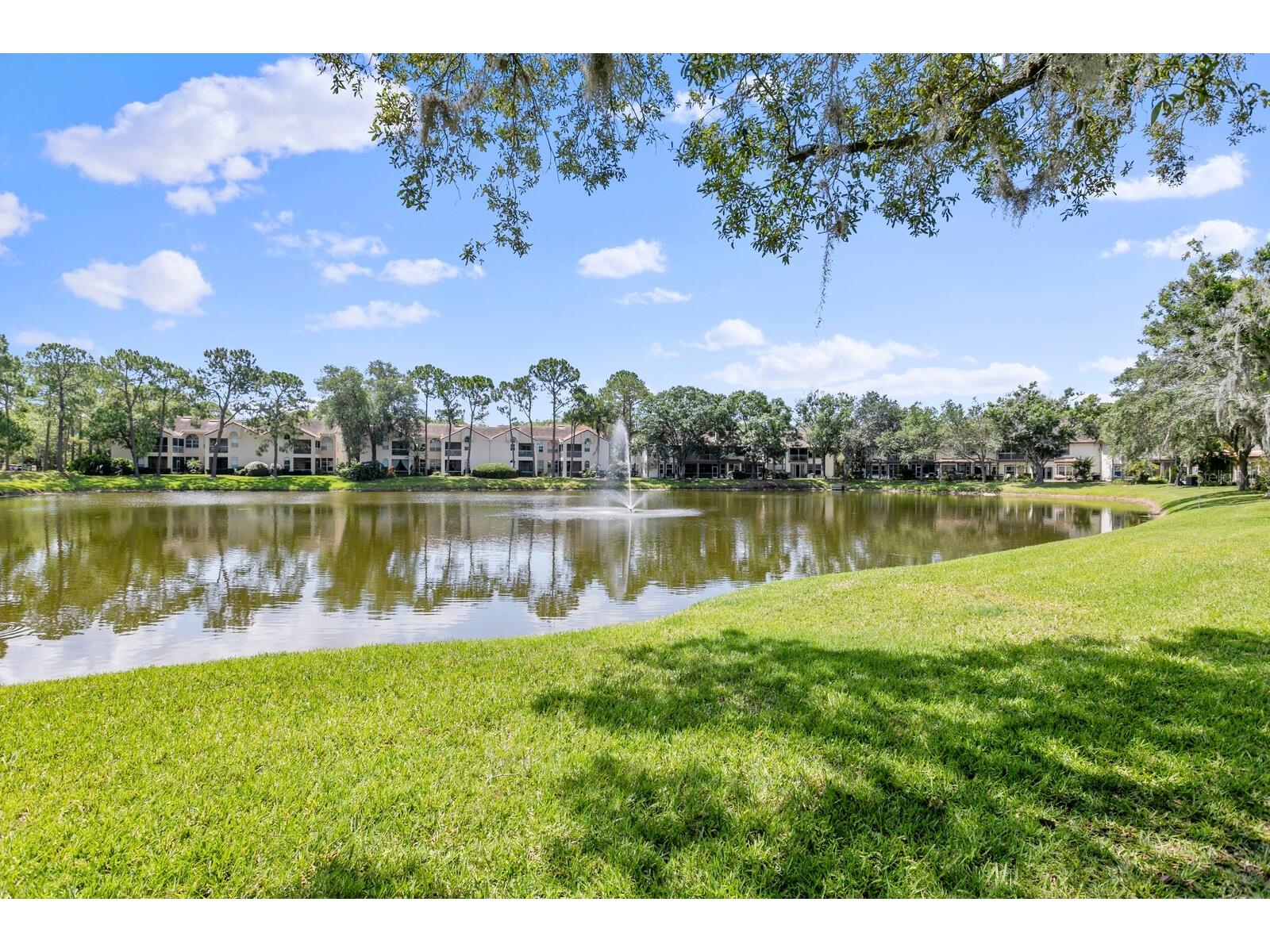 1233 Clays Trail Oldsmar FL 34677 TB8484116 image8