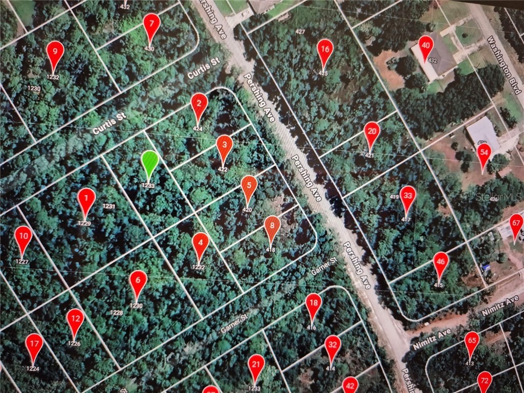 1233 Curtis Street Lake Placid FL 33852 O6259107 image1