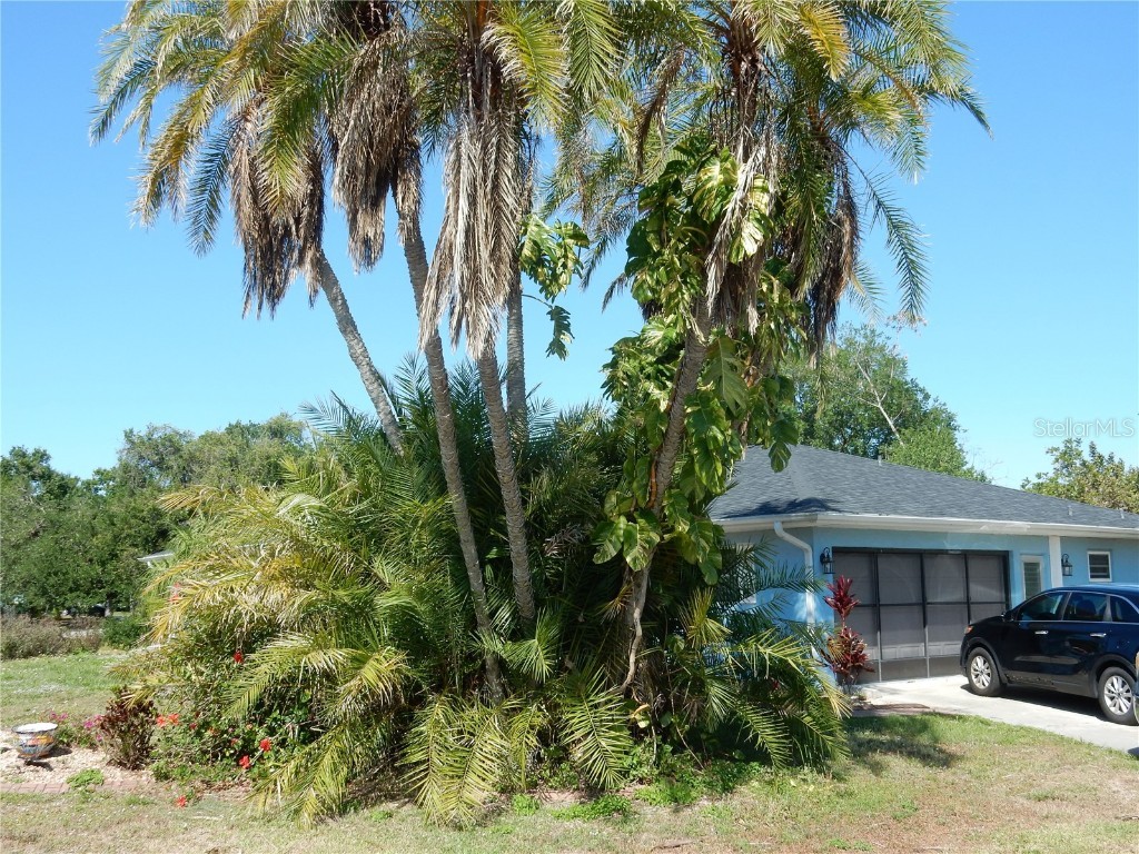 1233 Dewhurst Street Port Charlotte FL 33952 C7508510 image3