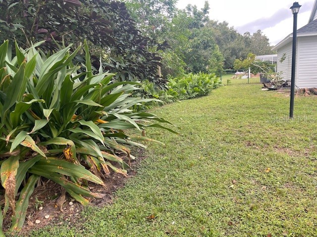 1233 Hancock Circle Saint Cloud FL 34769 S5136572 image20