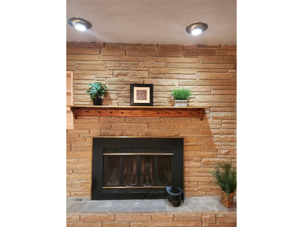 1233 Lorie Circle Brandon FL 33510 TB8451664 image15