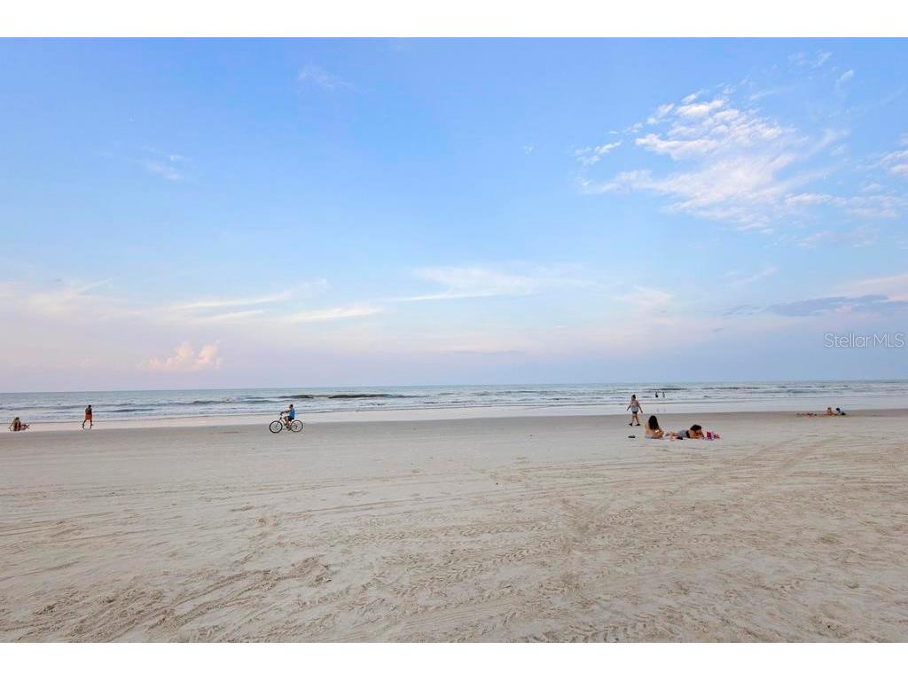 1233 S Atlantic Avenue #2270 Daytona Beach FL 32118 V4937917 image21