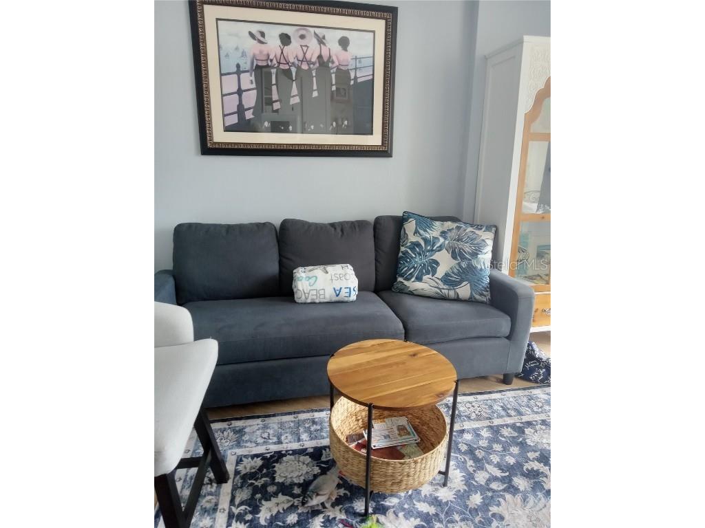 1233 S Atlantic Avenue #3070 Daytona Beach FL 32118 FC310282 image43