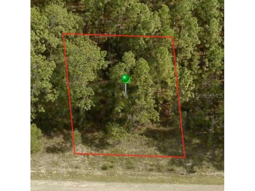 1233 W Riley Drive Citrus Springs FL 34434 A4599087 image1