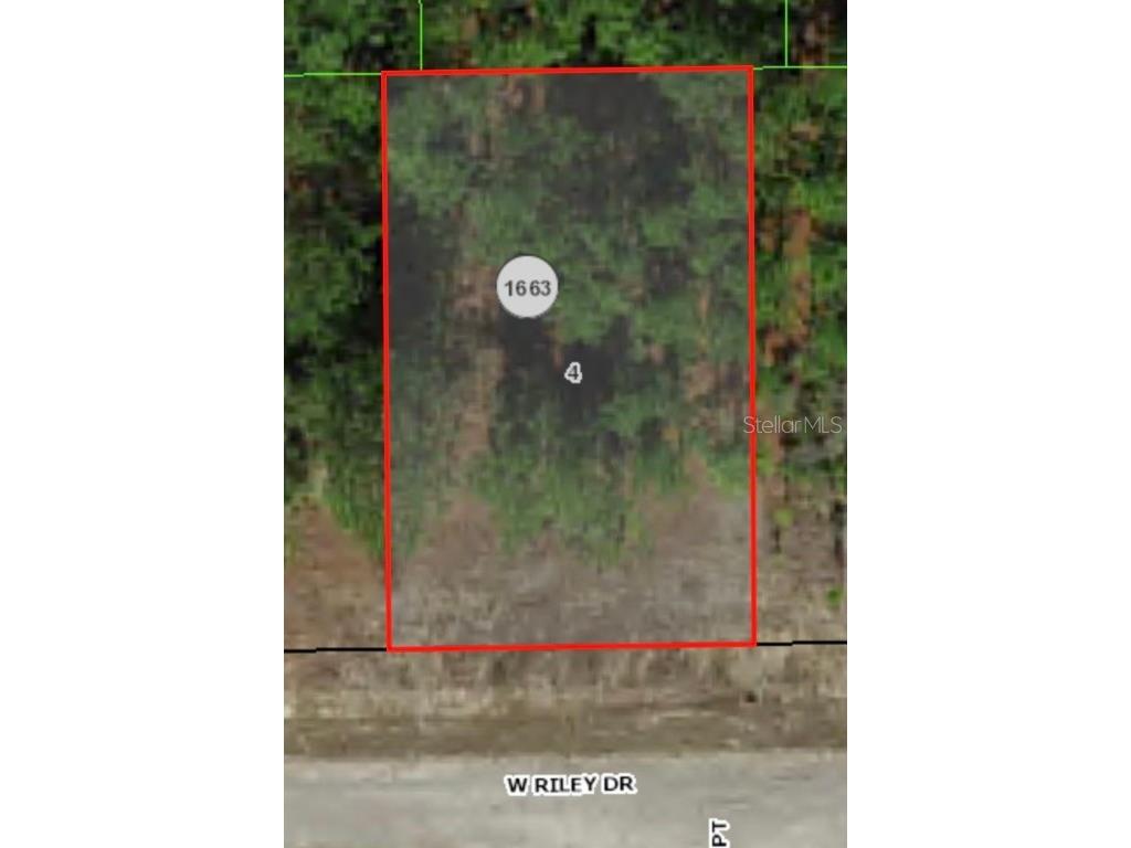 1233 W Riley Drive Citrus Springs FL 34434 A4599087 image2