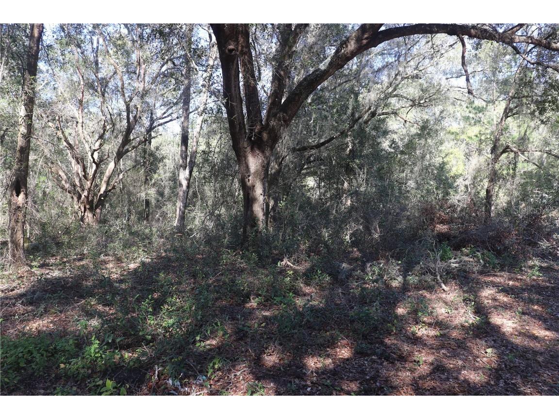 12330 N Ruff Point Dunnellon FL 34433 OM672382 image1