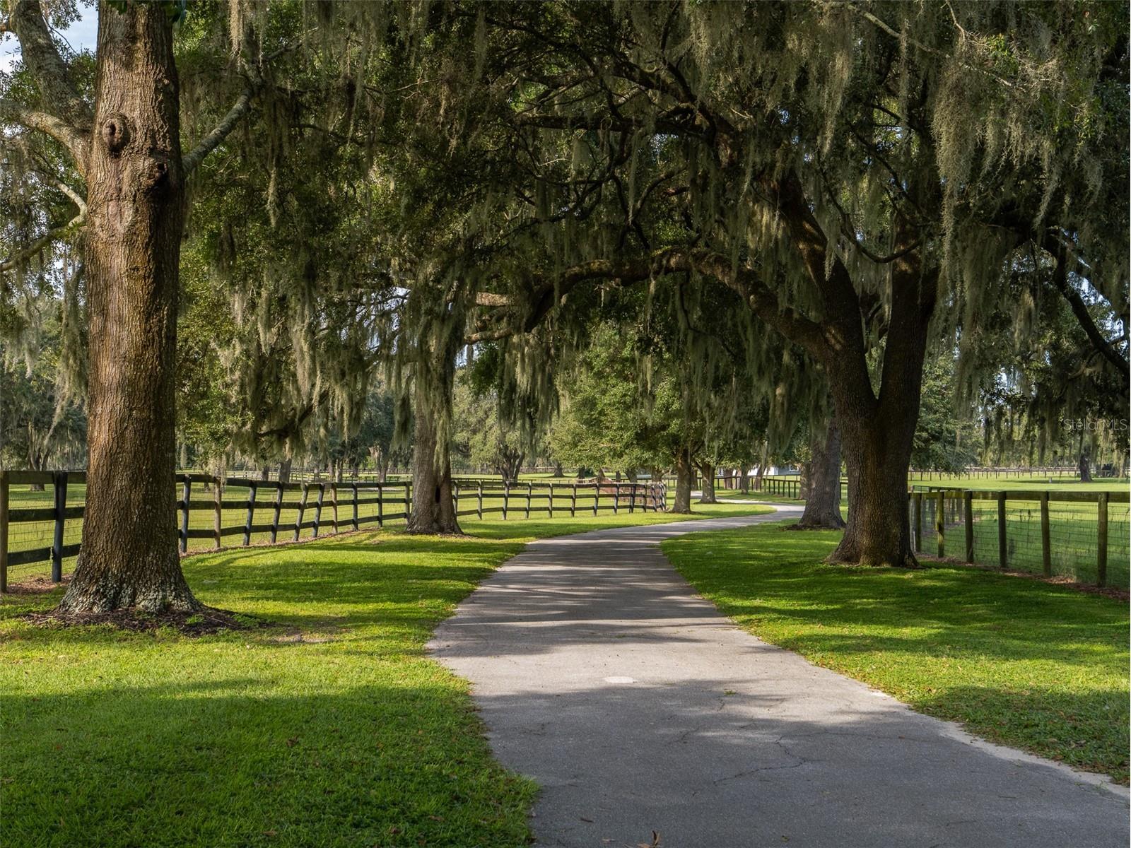 12330 NW 35th Street Ocala FL 34482 OM695661 image2