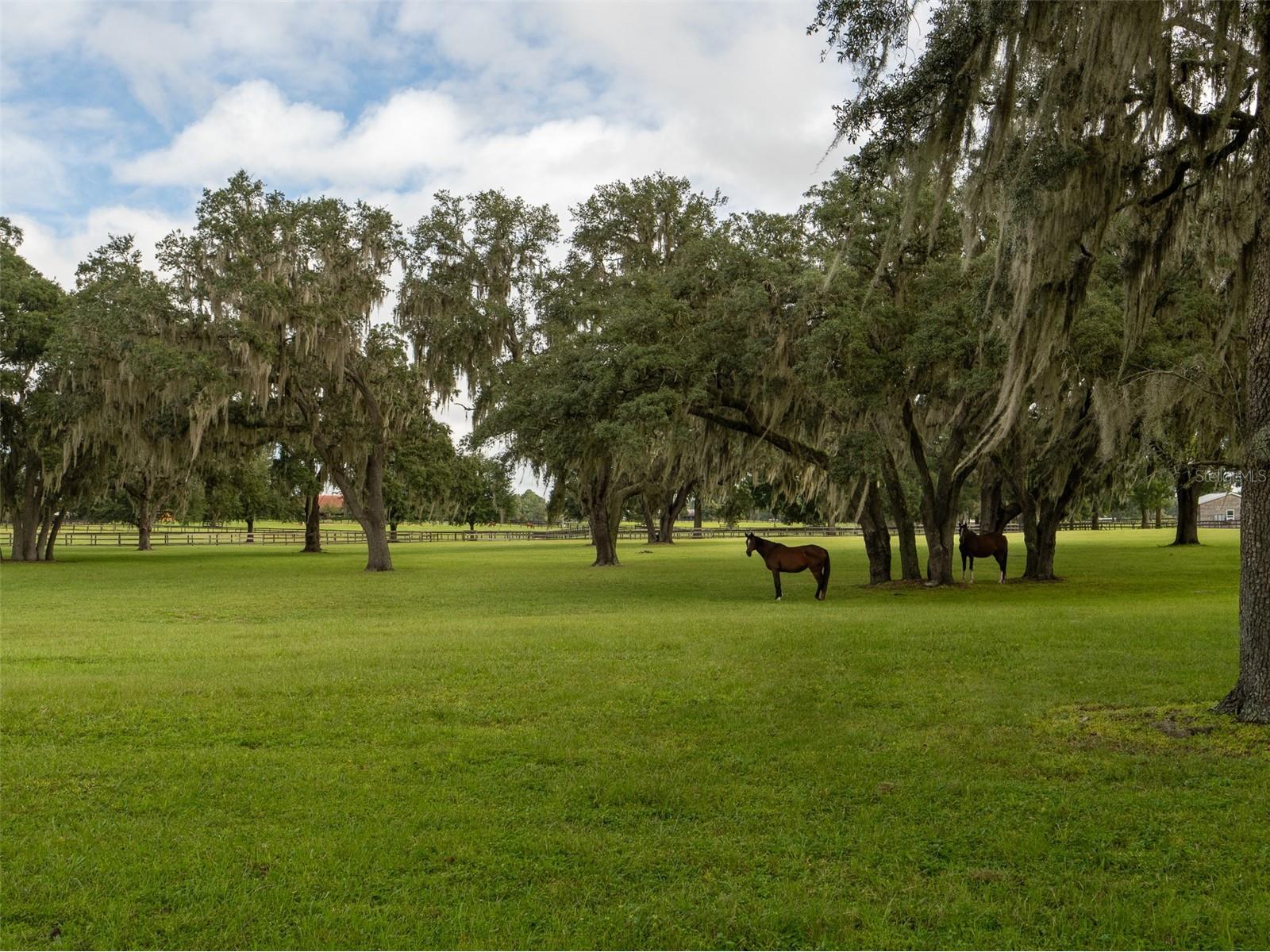 12330 NW 35th Street Ocala FL 34482 OM695661 image23