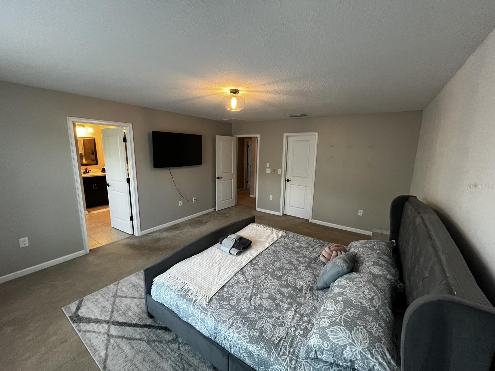 12330 Streambed Drive Riverview FL 33579 TB8507244 image18