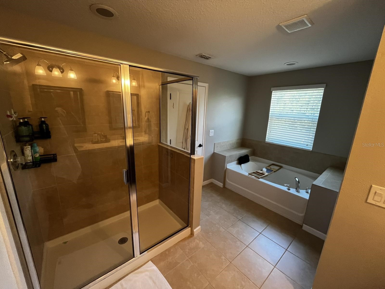 12330 Streambed Drive Riverview FL 33579 TB8507244 image20