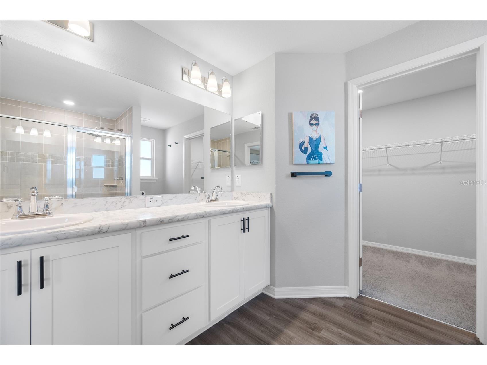 12331 Terrace Bluff Riverview FL 33579 TB8459171 image28