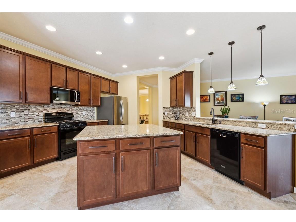 12332 Hammock Pointe Circle Clermont FL 34711 G5104792 image20