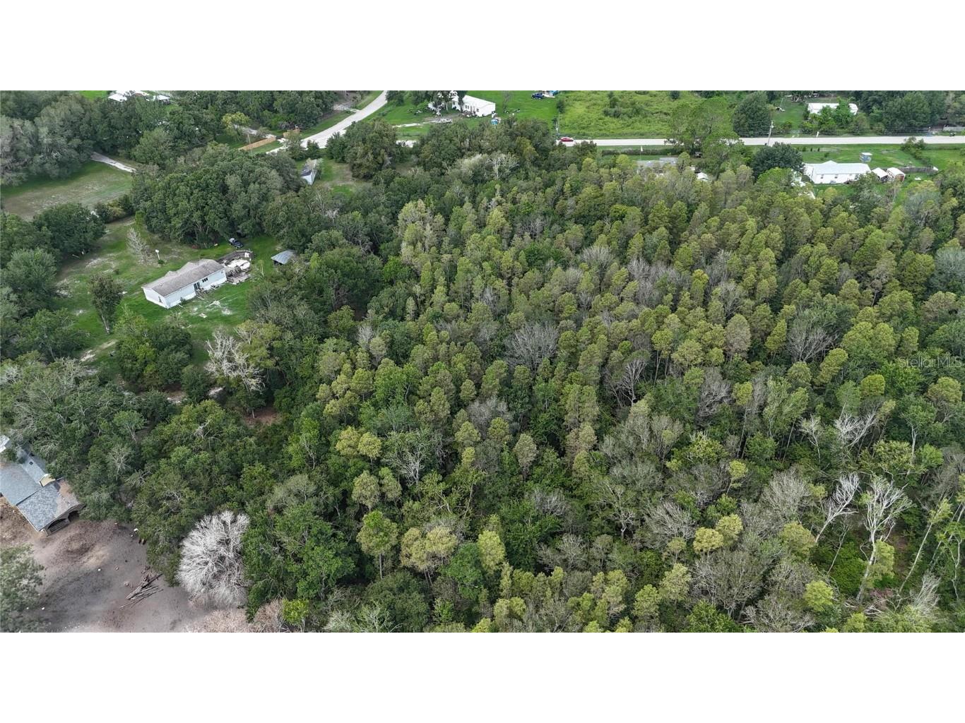 12333 Farmettes Road Lakeland FL 33809 TB8422803 image23