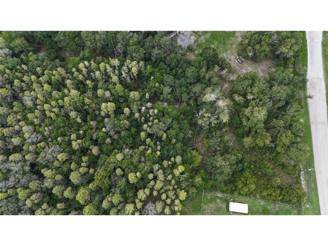 12333 Farmettes Road Lakeland FL 33809 TB8422803 image24