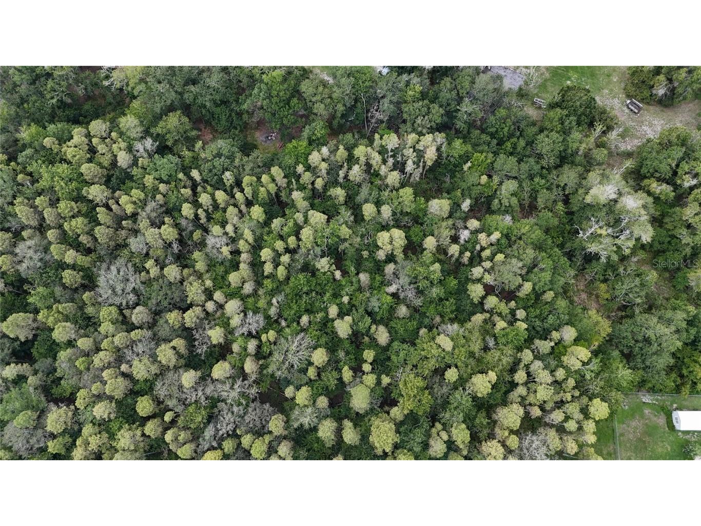 12333 Farmettes Road Lakeland FL 33809 TB8422803 image25