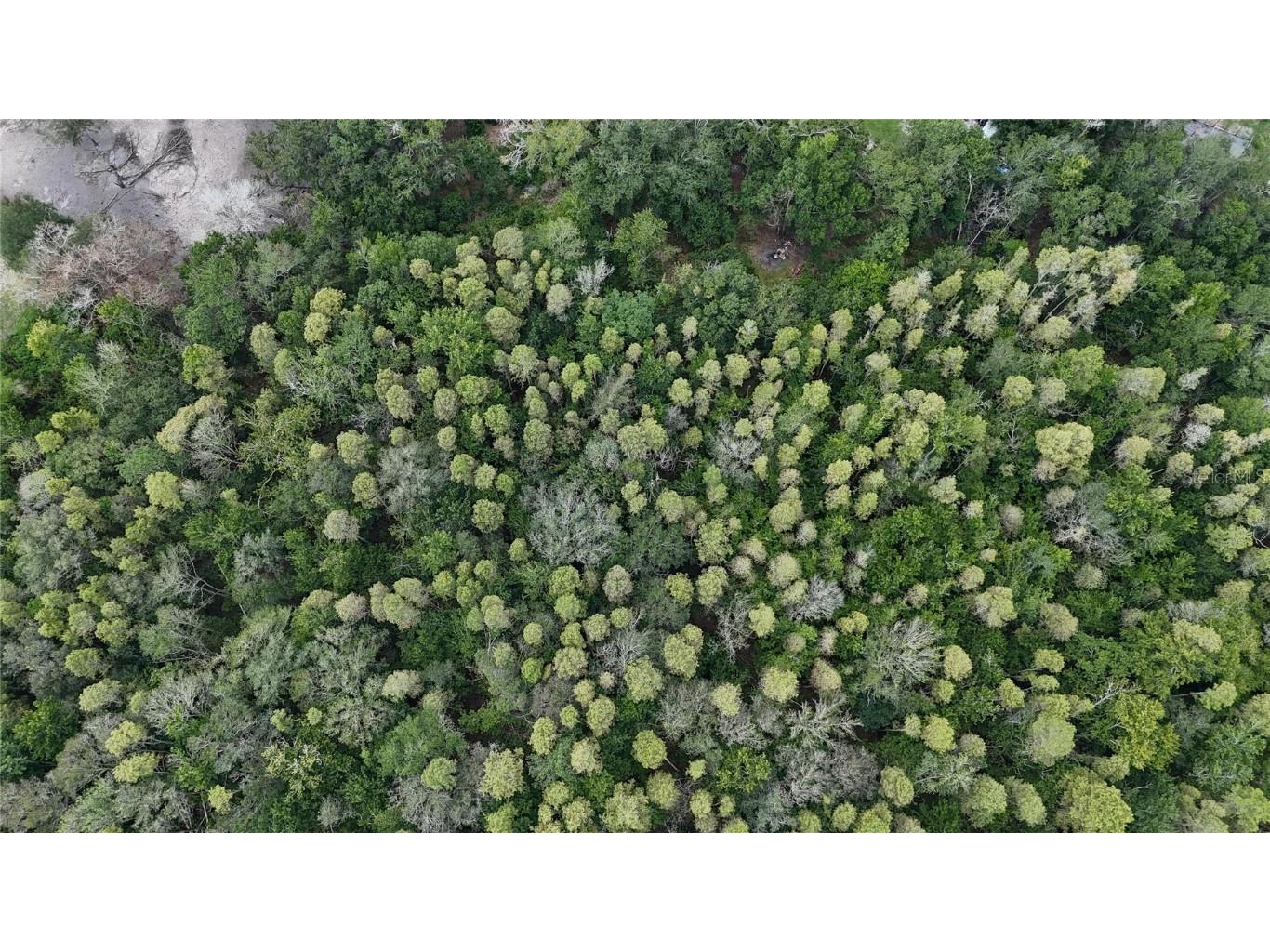 12333 Farmettes Road Lakeland FL 33809 TB8422803 image26