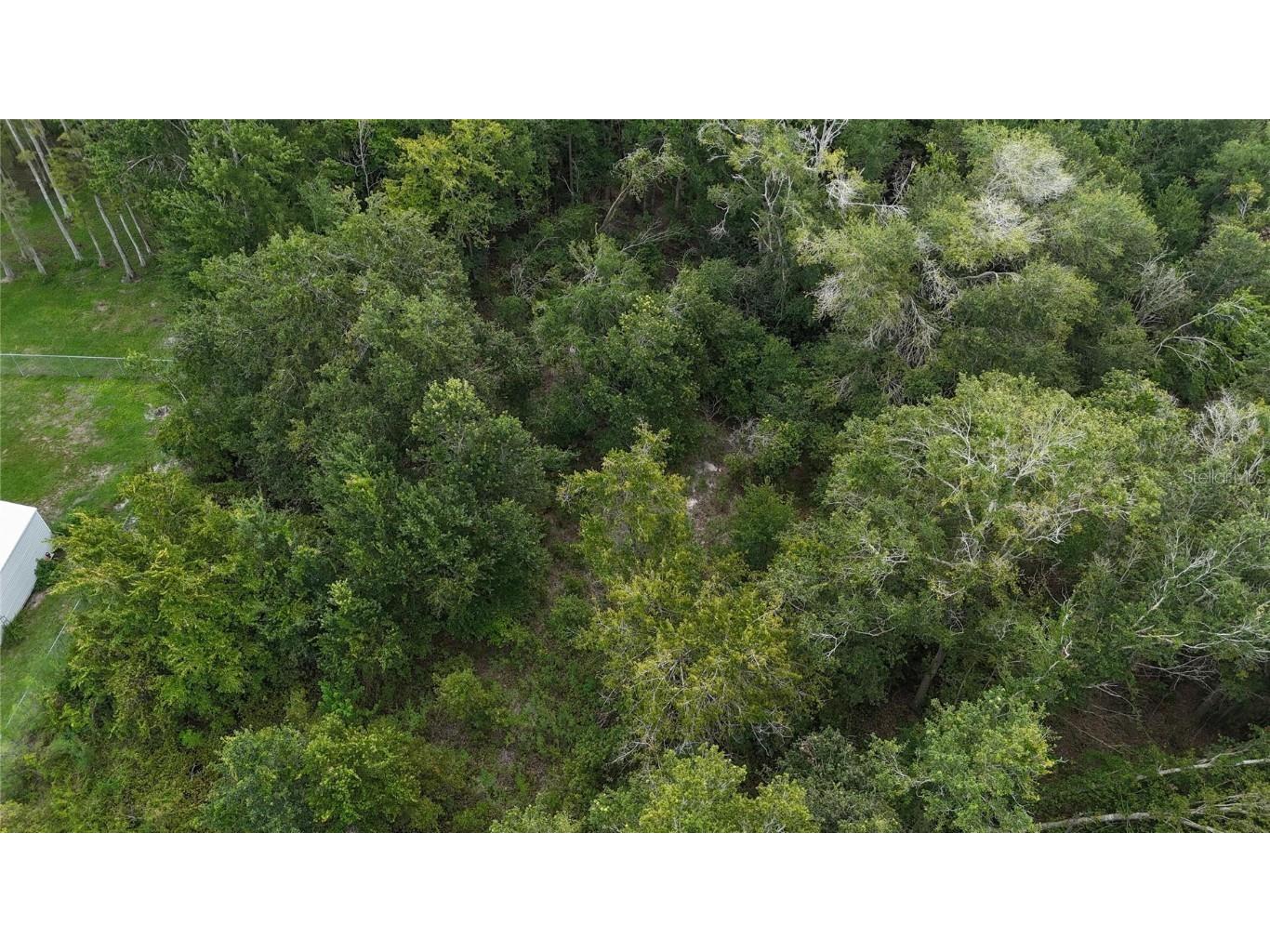 12333 Farmettes Road Lakeland FL 33809 TB8422803 image27