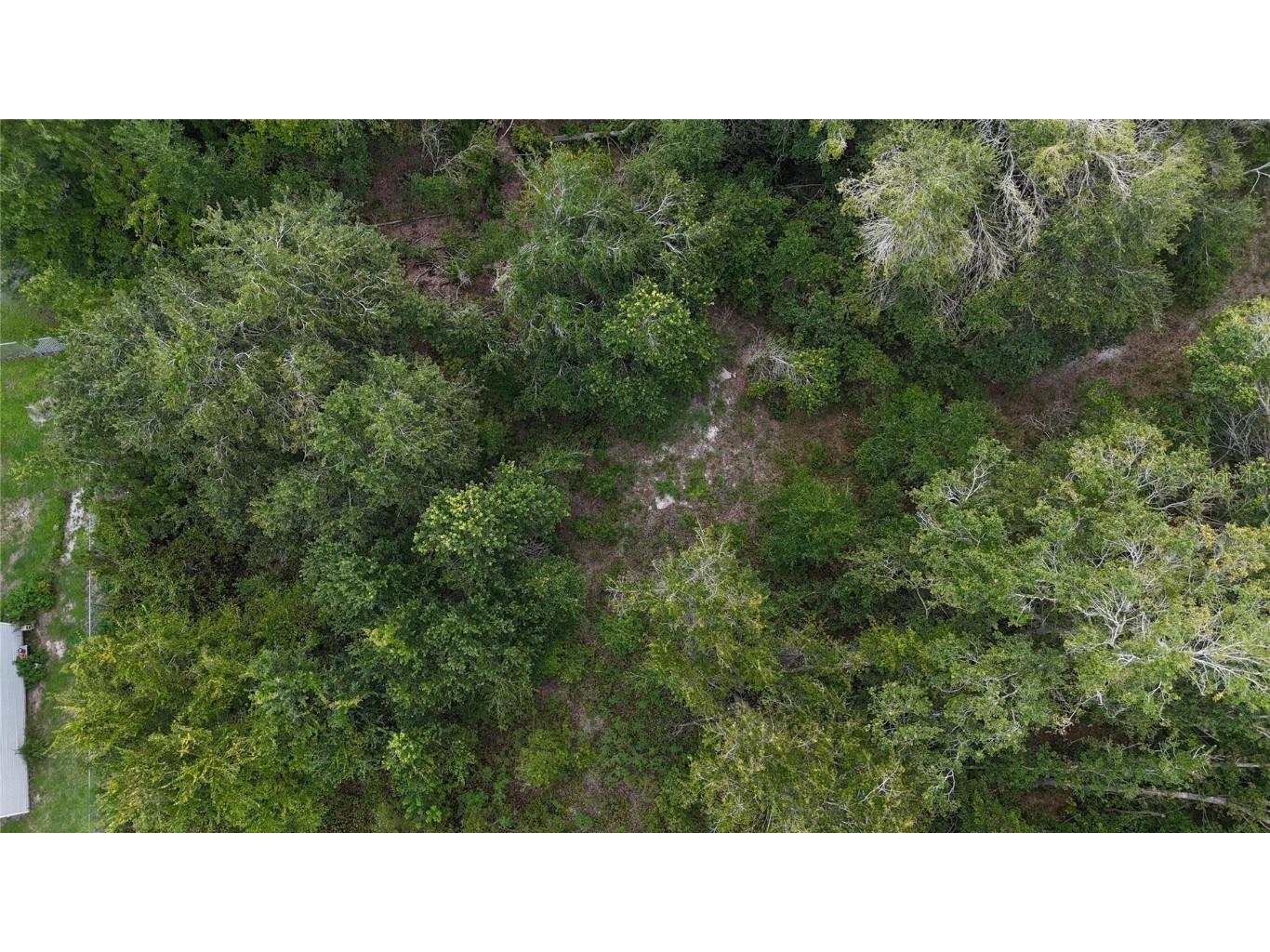 12333 Farmettes Road Lakeland FL 33809 TB8422803 image28