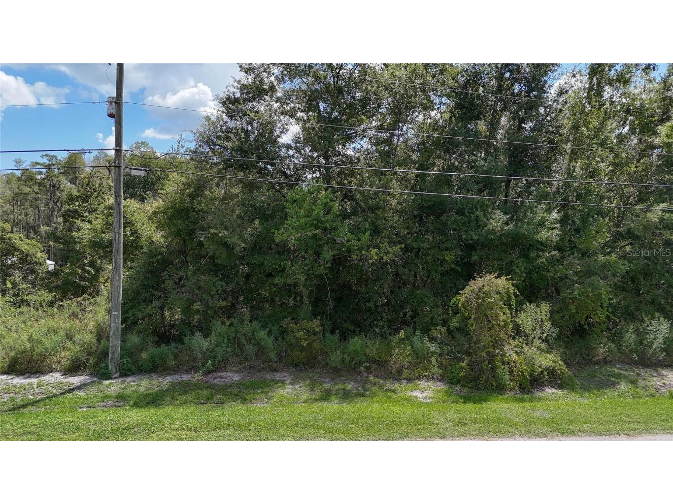 12333 Farmettes Road Lakeland FL 33809 TB8422803 image5