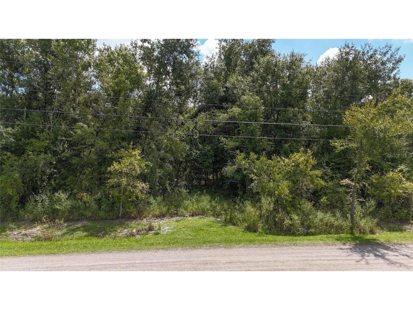 12333 Farmettes Road Lakeland FL 33809 TB8422803 image6