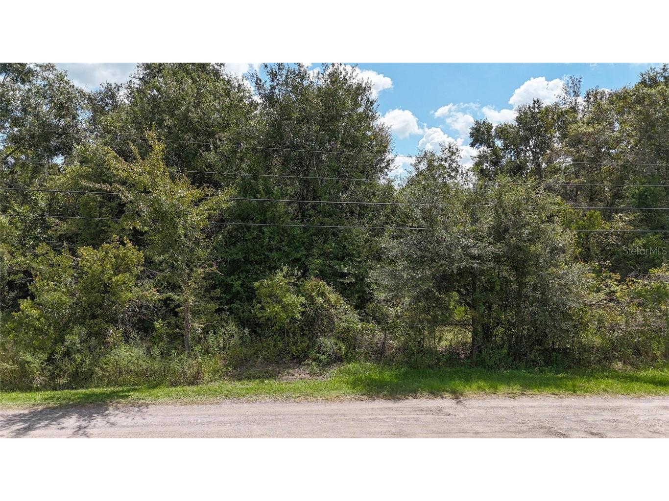 12333 Farmettes Road Lakeland FL 33809 TB8422803 image7