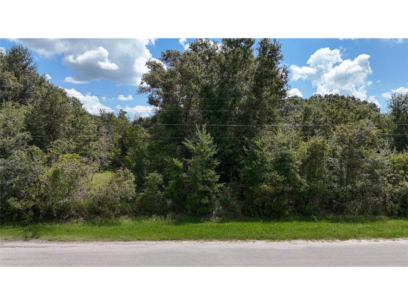 12333 Farmettes Road Lakeland FL 33809 TB8422803 image8