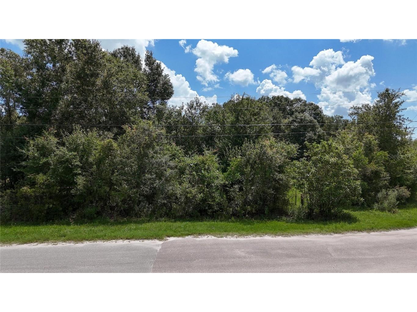 12333 Farmettes Road Lakeland FL 33809 TB8422803 image9