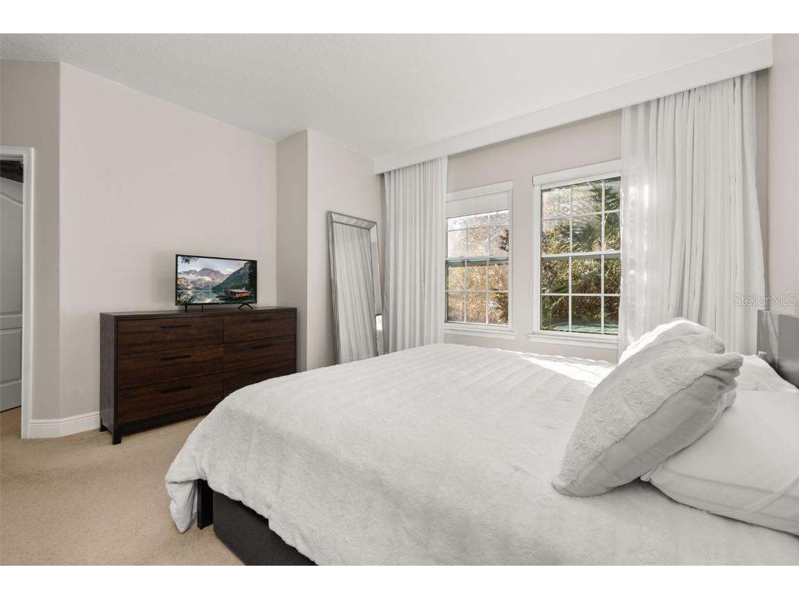 12333 Via Derna Place Windermere FL 34786 O6362685 image37