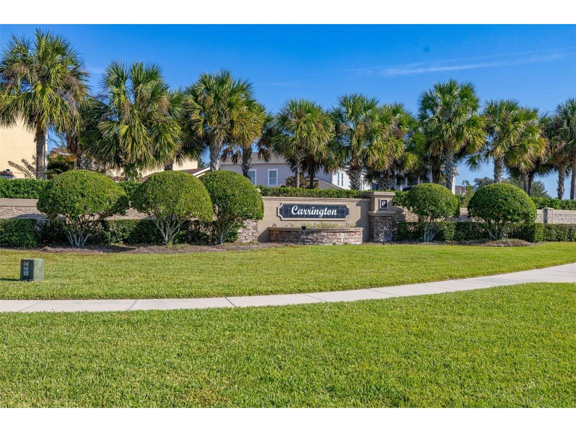 12333 Via Derna Place Windermere FL 34786 O6362685 image51