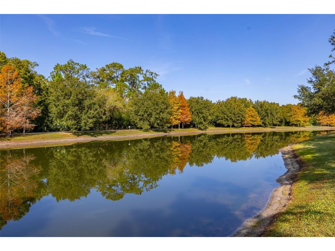 12333 Via Derna Place Windermere FL 34786 O6362685 image57