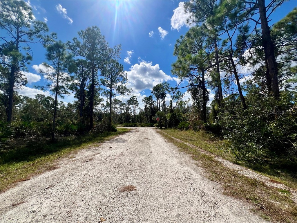 12334 Hindle Avenue Punta Gorda FL 33955 C7498872 image2