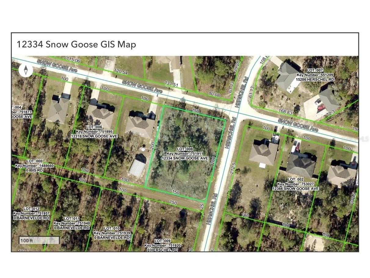 12334 Snow Goose Avenue Brooksville FL 34614 OM715209 image3